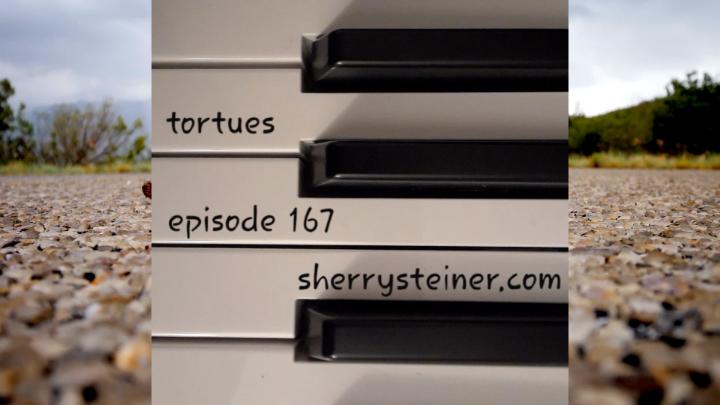 Thumbnail image for Improvisations Episode 167